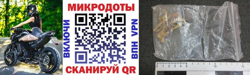 Купить где  Сретенск  Галлюциногенные грибы Psilocybe 